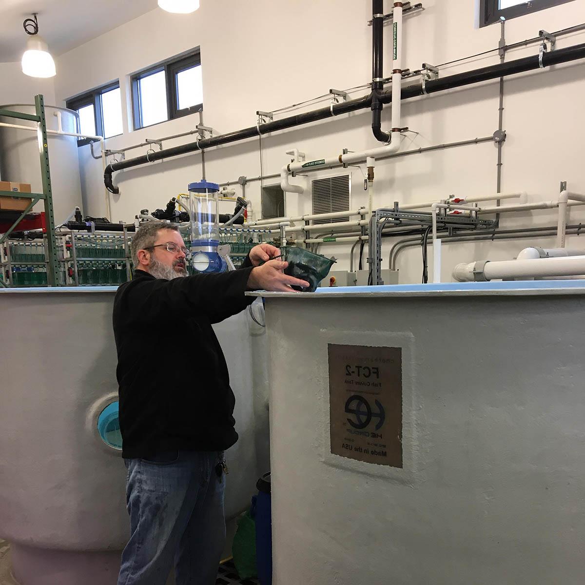 Photo of a faculty member working in the aquaculture lab on Eden Hall Campus